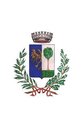 Associazioni comunali